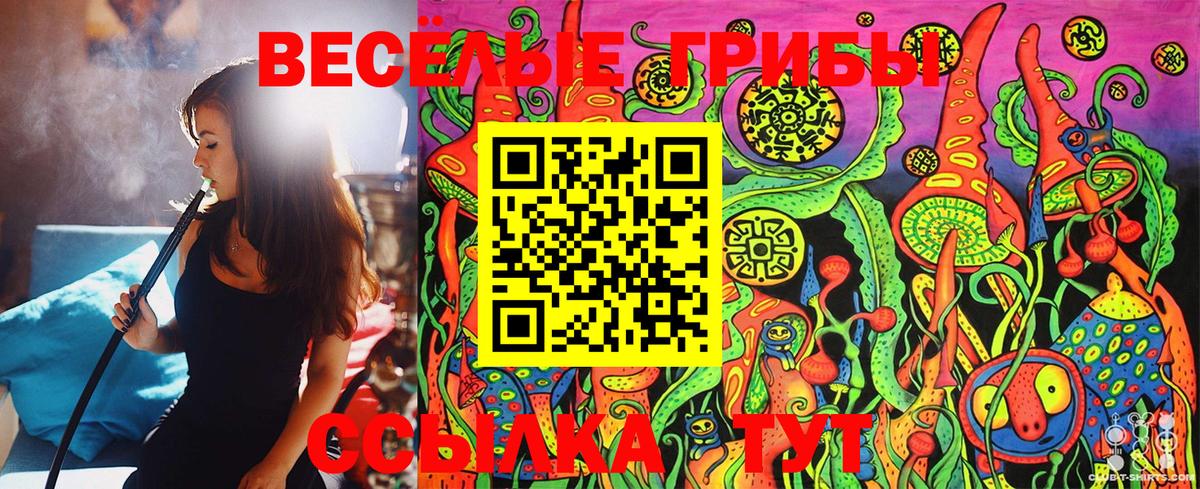 Химки  Галлюциногенные грибы Magic Shrooms  Псилоцибиновые грибы GOLDEN TEACHER  Вход с VPN 